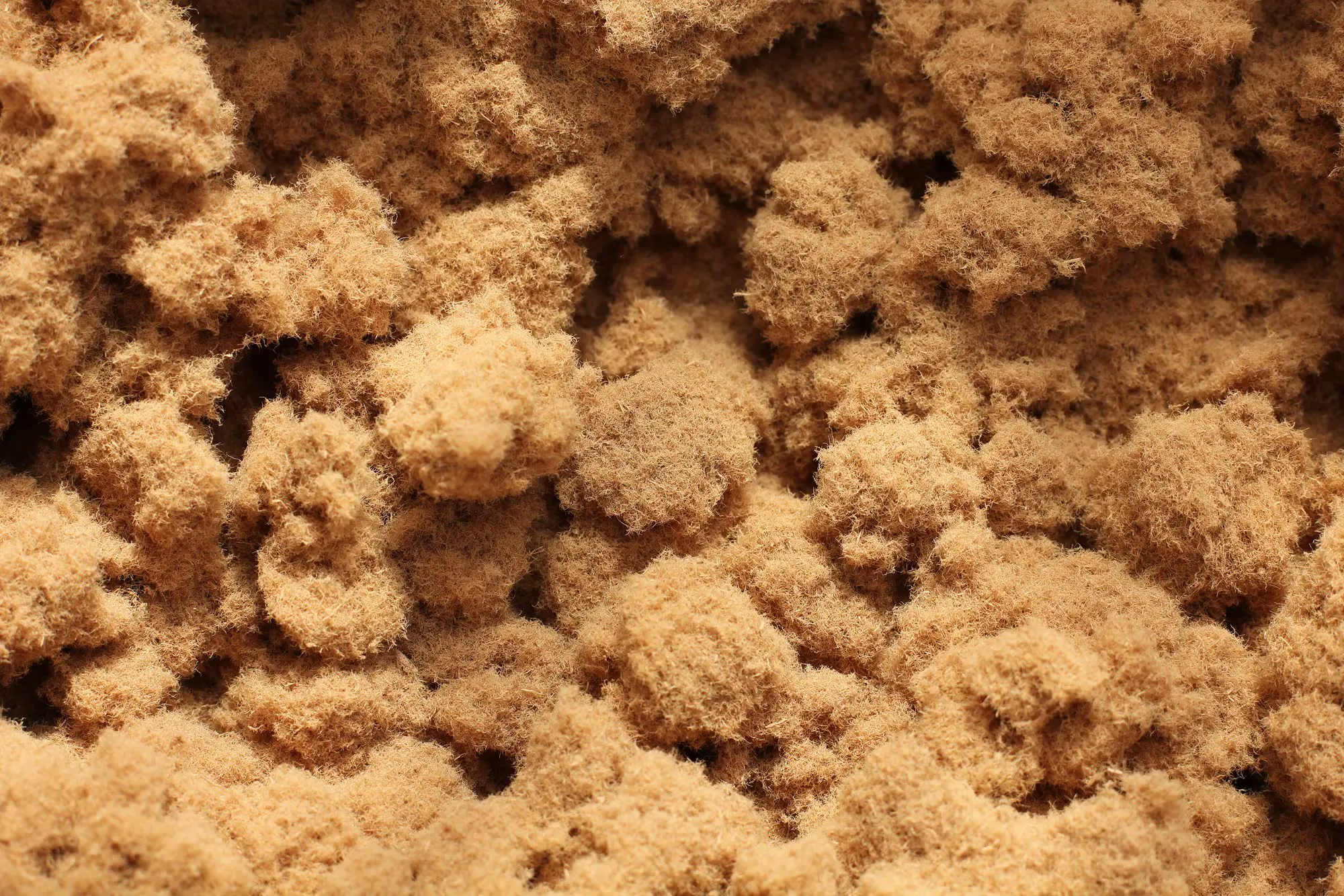 Gros plan sur de l'isolant en fibre de bois soufflée, un matériau biosourcé.